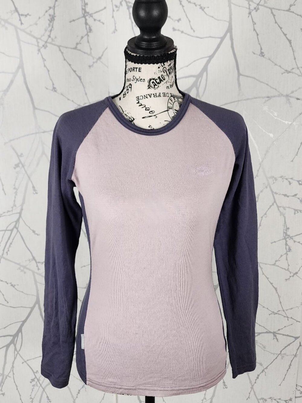 Icebreaker Colorblock 100% Merino Wool Crewneck Baselayer Tee